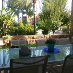 ground floor partment for sale terrace view