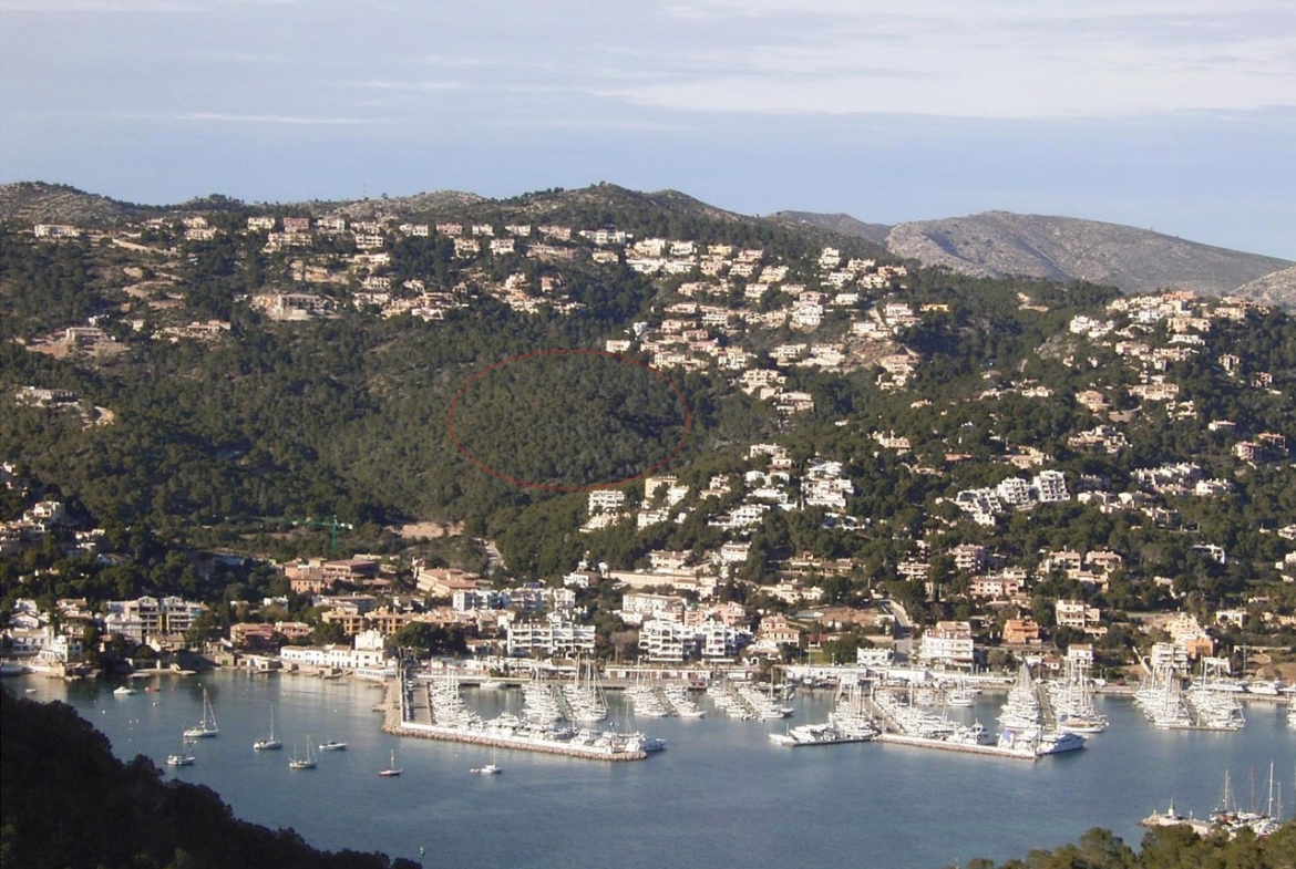 Aerial view Port d'Andratx